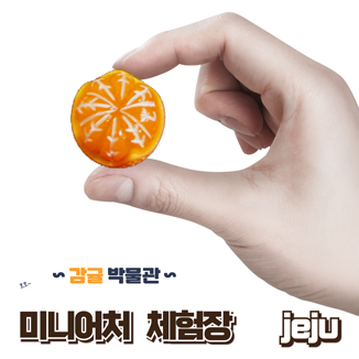 배너