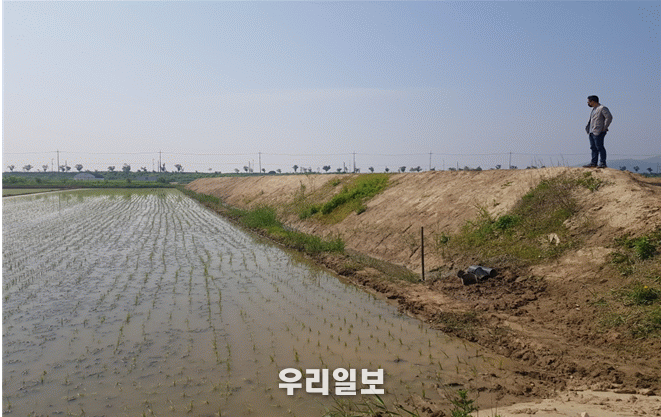 강화군, 농지 불법행위 기동단속반 운영 ⓒ강화군청