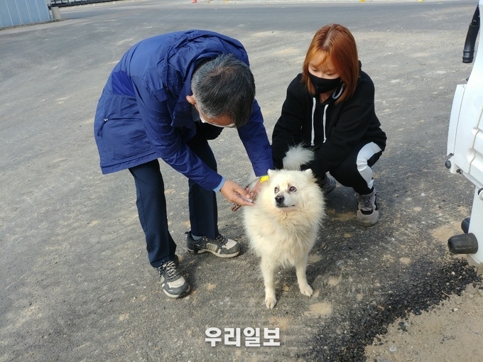 옹진군, 추계 가축전염병 예방접종 실시 ⓒ옹진군청