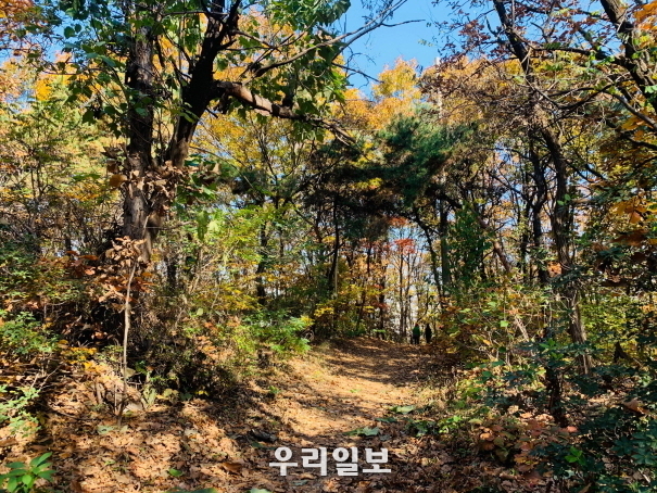 명품둘레길 ‘서로이음길’, 올해 11개 코스 조성 모두 마무리 ⓒ서구청