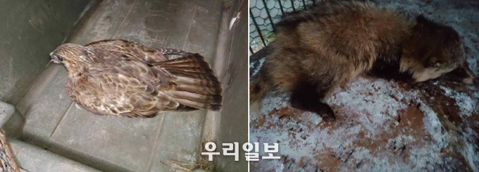 서구, 환경 행정 업무추진 평가 ‘인천 1위’ ⓒ서구청
