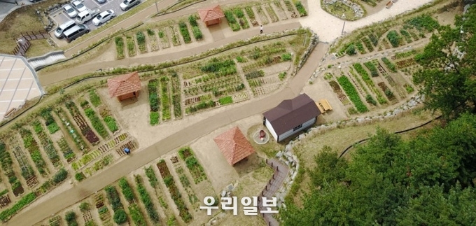 미추홀구, 도시텃밭 분양 완료 ⓒ미추홀구청