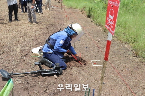  코이카 캄보디아 지뢰 제거를 하고 있다. 