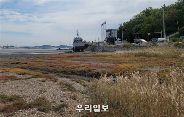 염생식물 군락 조성지(영흥면 내리 197-6 일원 ⓒ옹진군청