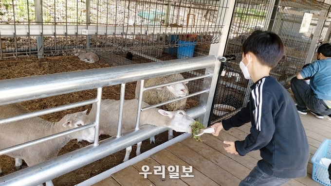수안보 곤충박물관 동물교감치유농장으로 확장.(사진=충주시)