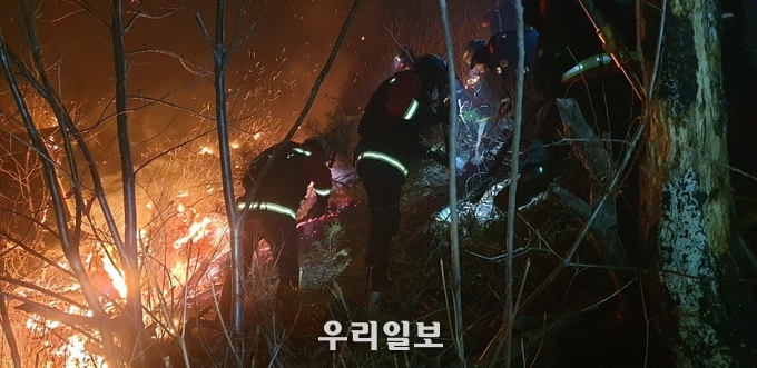 진화대 현장진화 모습.(사진=산림청)