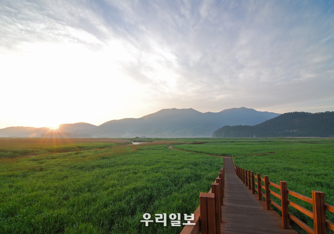 우수 열린관광지 순천만습지.(사진=한국관광공사)