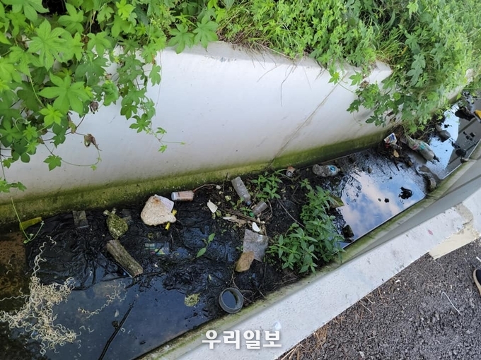 우수관로가 노상방노장으로 둔갑 온갖 오물로 덮여 있다. ⓒ 영종뉴스 제공