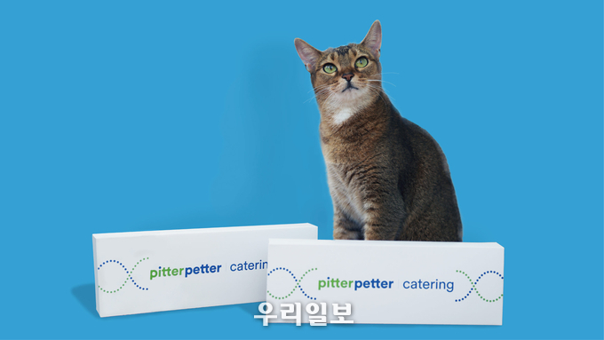 펫 헬스케어 스타트업 피터페터, 반려묘 유전자 검사 서비스 ‘캣터링’으로 펀딩 호응