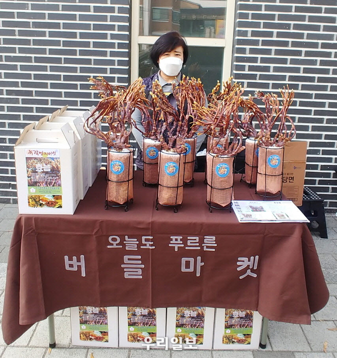 사단법인 주거복지연대 경기남부지사에서 직접 재배한 녹각영지버섯을 활용한 녹각영지버섯 제품을 매주 토요일 수원시 행궁동어울림센터에서 판매한다.