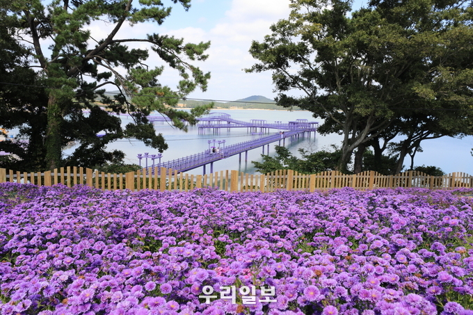 최우수 관광마을 신안 퍼플섬.(사진=한국관광공사)