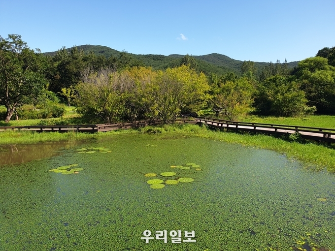 최우수 관광마을 고창 운곡습지마을.(사진=한국관광공사)