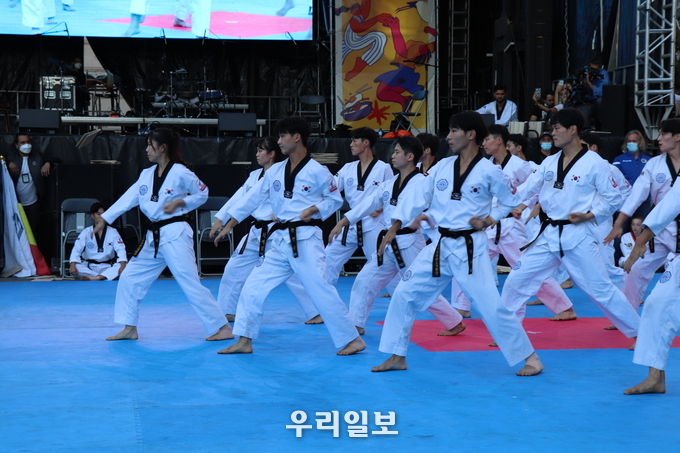 태권도 시범공연