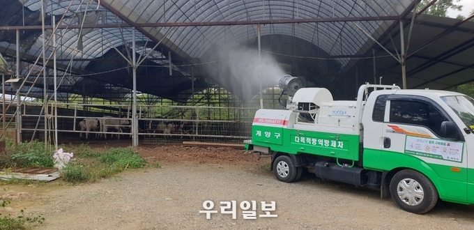 계양구, 하계 가축 질병 방역 총력 ⓒ계양구청