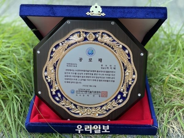 (사)한국아동미술치료협회 공로패
