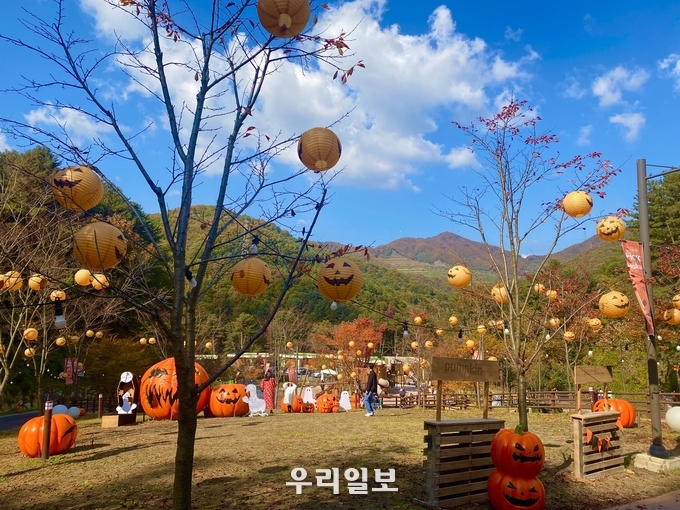 동두천 자연휴양림, 환경을 생각하는 숲속 핼러윈 체험 실시 ⓒ 동두천시청 제공