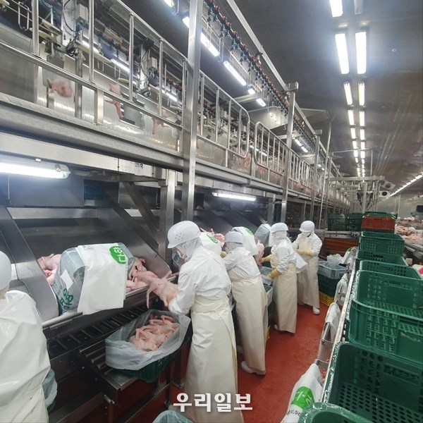 (주)체리부로 이미지