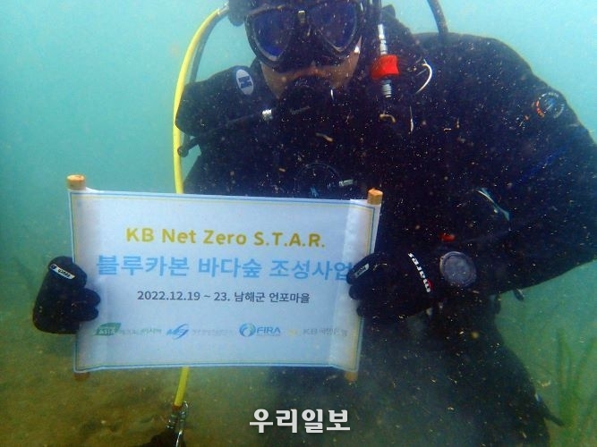  KB국민은행, KB Net Zero S.T.A.R. 블루카본 바다숲 조성
