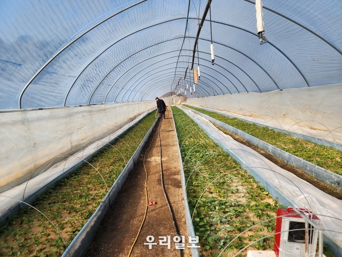 관련기사 이미지.(사진=충주농업기술센터)