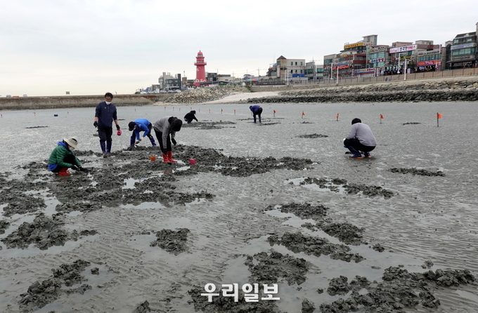 관련기사 이미지.(사진=시흥시청)
