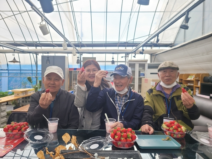동두천시치매안심센터, 치매가족을 위한 딸기농장 체험 진행 ⓒ 동두천시 제공