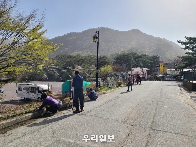 충주시 수안보면 미륵마을이 마을만들기사업으로 관광객 맞이 마을진입로 꽃길가꾸기를 하고 있다.(사진=충주시청).