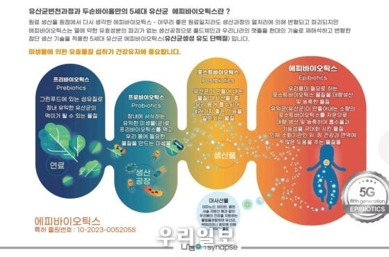 두손바이옴, 유산균 유효성분인 대사산물과 엑소좀 성분을 담은 '에피바이오틱스' 특허 소개 이미지