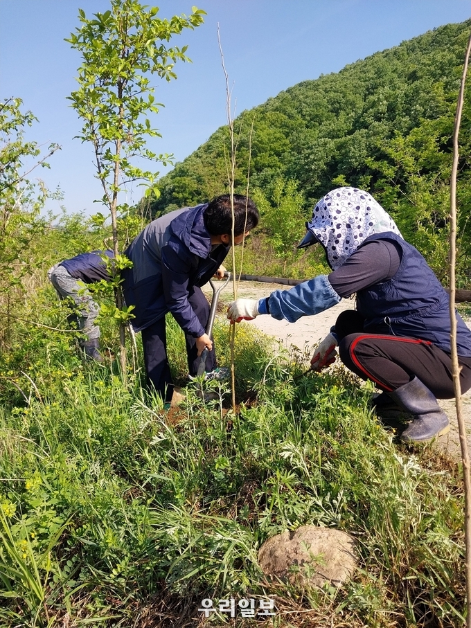 충주시 앙성면 주민자치위원회가 주민자치위원 및 행정복지센터 직원, 주민자치 프로그램 수강생 등 40여 명이 참석한 가운데 시화십리길에 무궁화 및 꽃잔디를 식재하고 있다.(사진=충주시청)