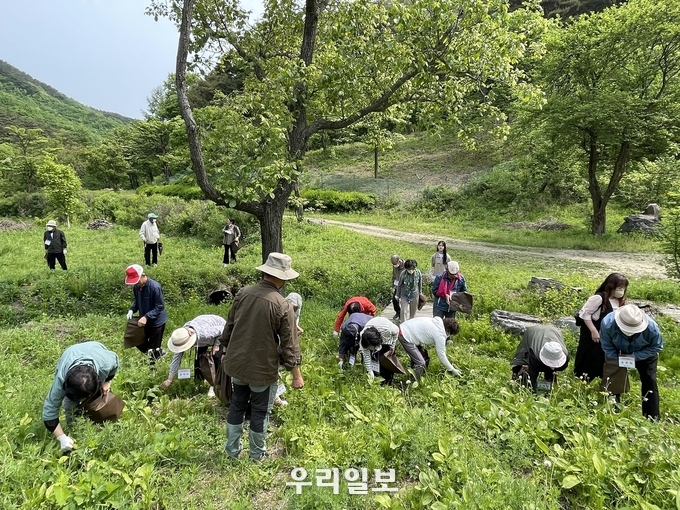 충주시 치매안심센터가 산림·농림 치매 전문치유농장 연계한 프로그램을 운영하고 있다.(사진=충주치매안심센터)