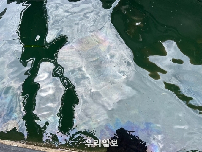 해상에 무지개빛 기름띠가 펼쳐있다.