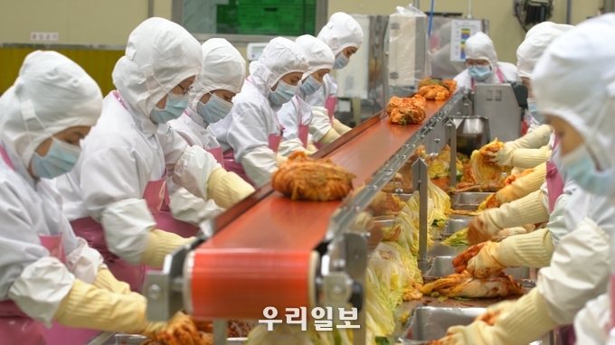남도김치- 꼼꼼하게 양념 버무리기