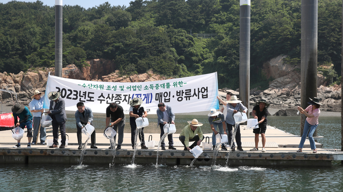 수산종자(꽃게) 매입방류를 하고 있다. ⓒ 중구청 젱공