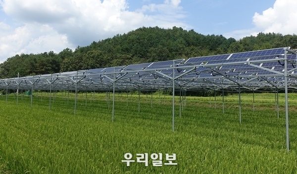 영농형 태양광 설치된 모습. ⓒ전라남도 제공