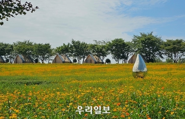 관련기사 이미지.ⓒ전라남도청 제공