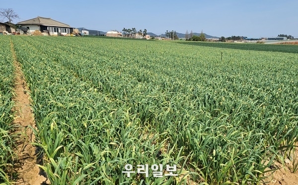 관련기사 이미지.ⓒ전라남도청 제공