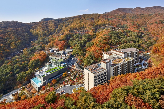 포레스트리솜 전경
