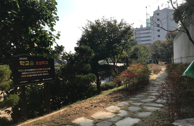 인하대사범대학부속고등학교와 관교여자중학교의 숲 조성을 완료했다 ⓒ 미추홀구 제공