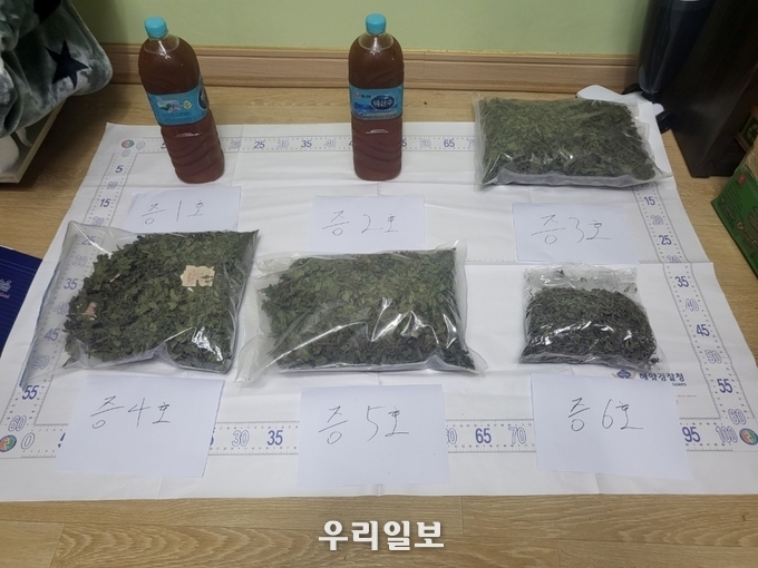 압수된 크라톰.ⓒ서해지방해양경찰청 제공