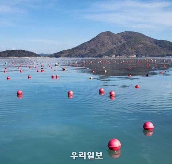 전남도에서 개발한 생분해성 친환경 해양 부표.ⓒ전남도청 제공