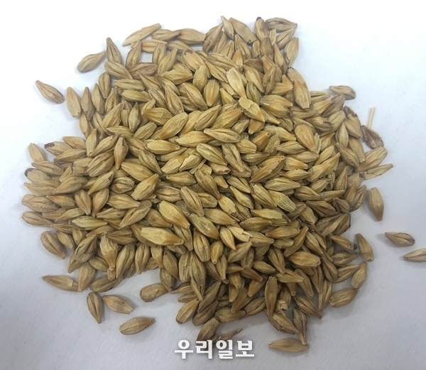 관련기사 이미지.ⓒ전남도청 제공