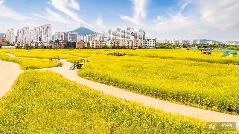 계양 꽃마루 전경 ⓒ 인천관광공사 제공