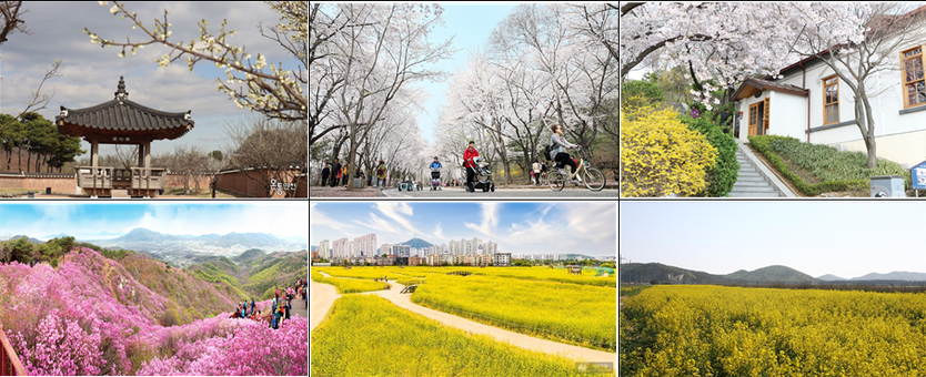 인천관광공사 추천하는 봄꽃 인천 명소 BEST9 ⓒ 인천관광공사 제공