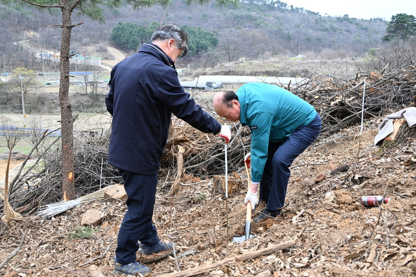 박형덕 동두천시장이, 제79회 식목일 묘목을 식재를 하고 있다. ⓒ 동두천시 제공