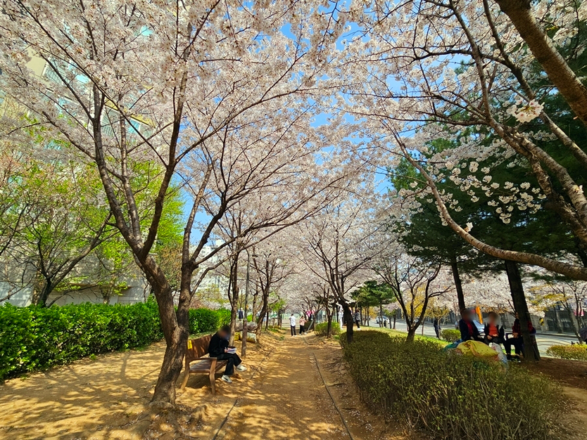 작은 거리 정원 조성 ⓒ 부평구제공 
