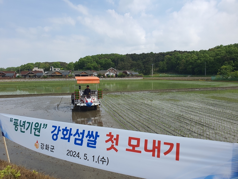 강화군, 풍년예약! 최고품질 강화섬쌀 첫 모내기를 실시하고 있다. ⓒ 강화군청 제공