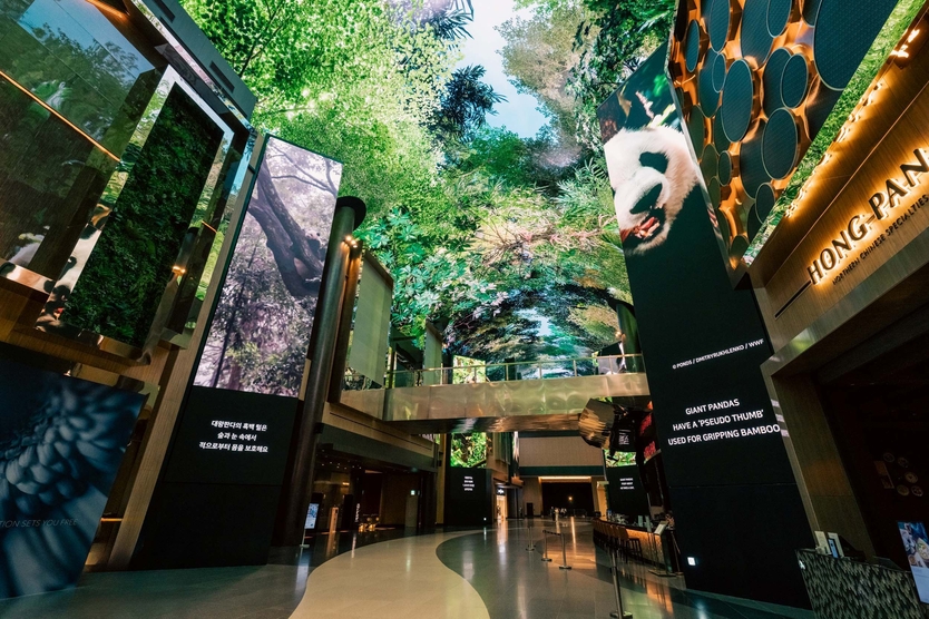 인스파이어는 디지털 엔터테인먼트 거리 ‘오로라’의 미디어를 활용해 WWF 한국본부와 함께 자연보전 메시지를 담은 '사라지지 않고 살아갈 수 있도록 (Love It or Lose It)' 환경 캠페인을 전개한다. ⓒ 모히건 인스파이어 제공