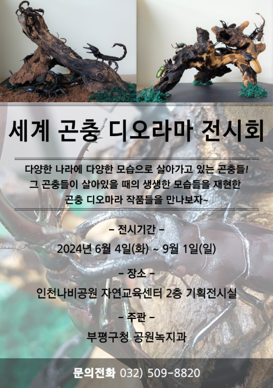 부평구, 인천나비공원에서 ‘세계 곤충 디오라마 전시회’ 개최ⓒ부평구제공