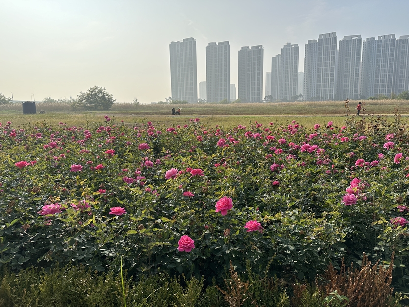 인천 송도 R2부지 전경