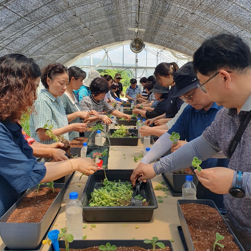 지난해 진행된 도시농업 기초과정 교육 모습.(사진=충주농업기술센터)