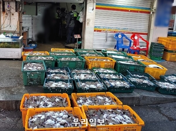 4월 2일 오전 4시 50분께 체장미달 꽃게 2,250kg를 판매하기 위해 보관, 소지한 군산시 A수산 대표 B씨를 수산자원관리법 위반 혐의로 현장에서 적발했다 ⓒ 군산해경 제공